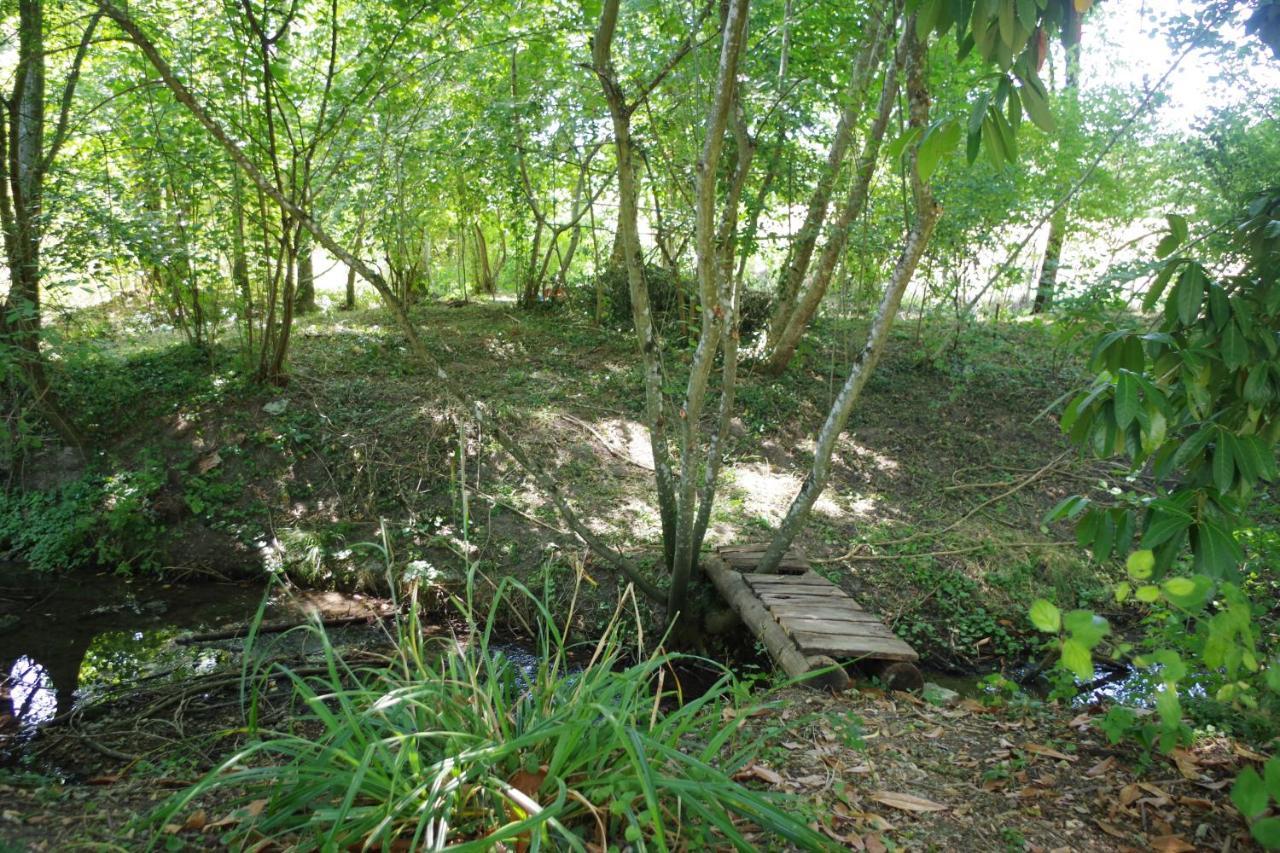 Gite Du Moulin De Vandon Souvigny-de-Touraine Exteriér fotografie